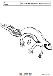 Semender boyama sayfaları